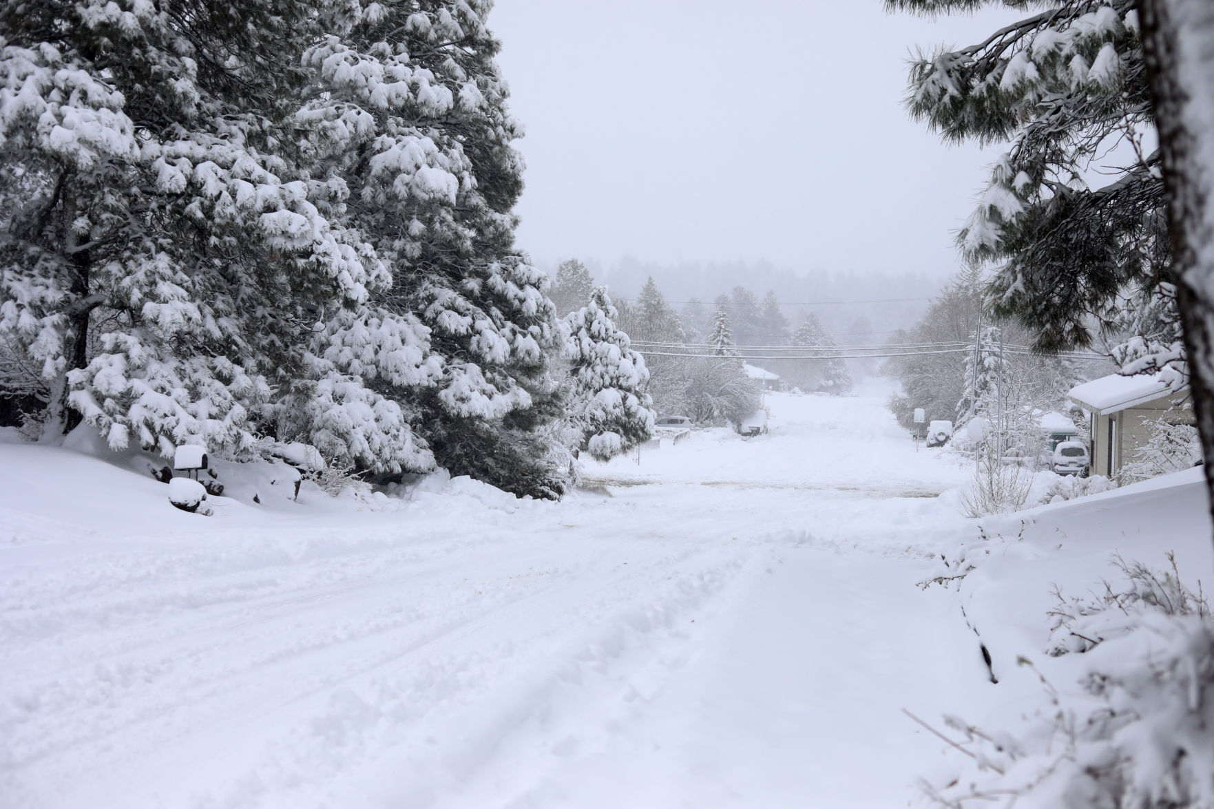 Snow on Black Friday